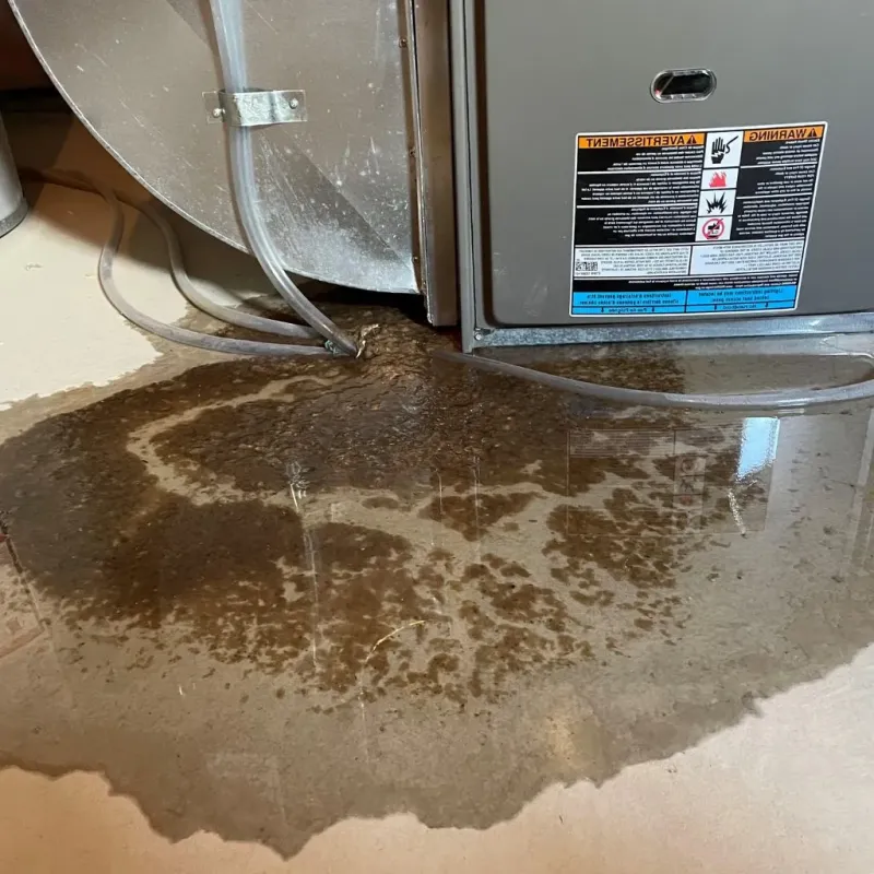 Pipe Burst and Leak Restoration in Holbrook, MA