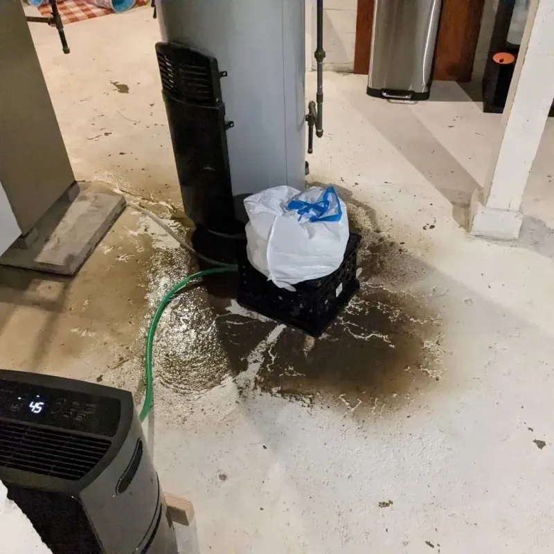 Sewage Backup Cleanup Service in Holbrook, MA